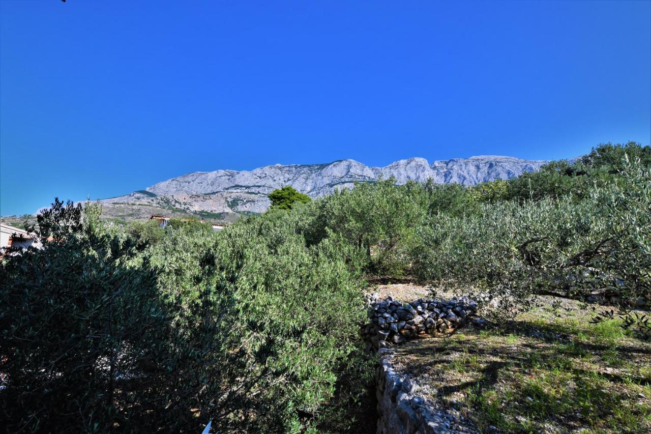 Villa Nora Tučepi Exteriér fotografie