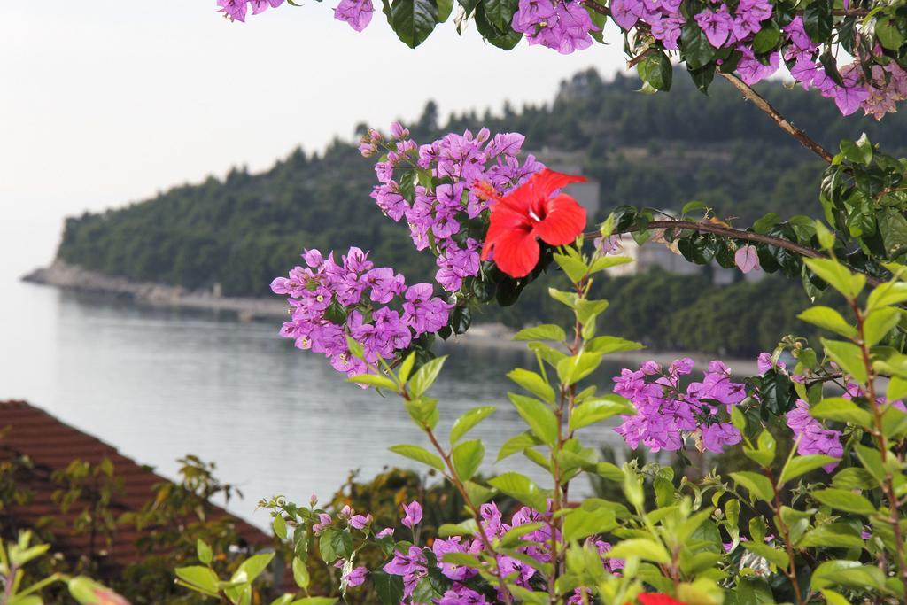 Villa Nora Tučepi Exteriér fotografie